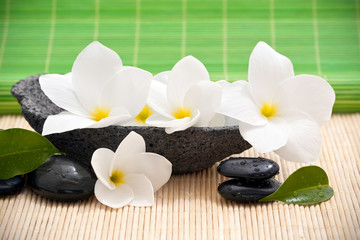 Composition zen avec fleurs de frangipanier