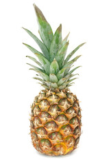 Fototapeta premium Pineapple