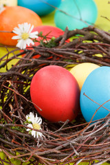 Easter eggs in a nest