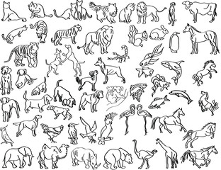 Sketches of animals