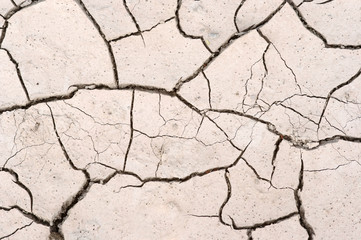 parched earth - dried ground