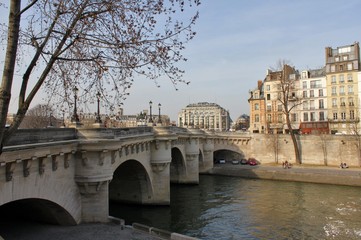 Obraz premium Die Pont Neuf in Paris