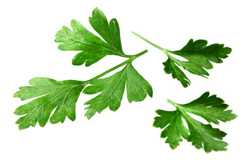 Green leaves parsley