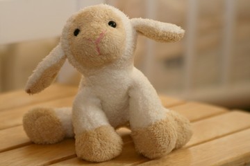 Kuschelschaf