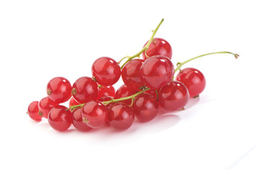 red currant  red currant close-up on white