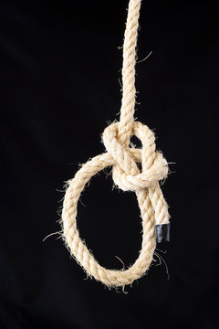 Knoten Palstek
