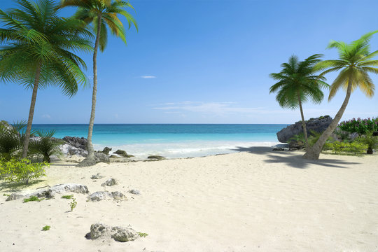Beautiful tropical deserted beach