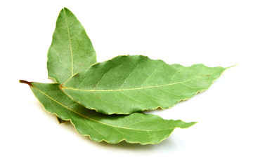 Aromatic Bay leaves ( laurel )