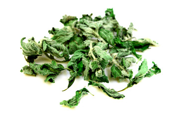 Dry herb mint for tea