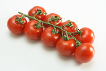 Strauchtomaten 3