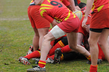 rugby