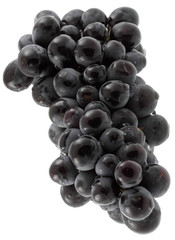 grappe raisin rouge; fond blanc