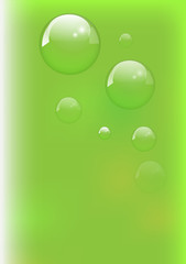 Background green and fresh