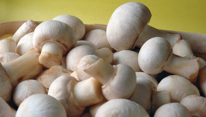 Champignons