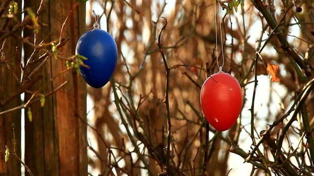 Oster Eier / Video