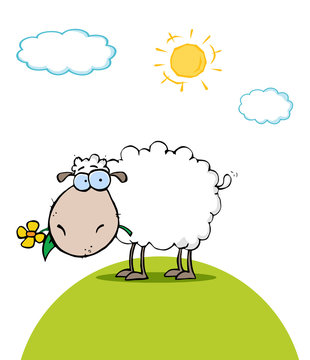 Sheep With Flower In Mouth On A Sunny Day