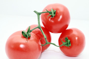 Rispe Tomaten