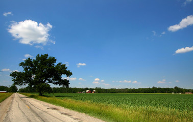 Fototapeta na wymiar Scenic rural landscape