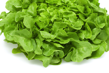 Oak leaf lettuce
