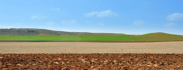 Foto op Plexiglas hauts plateaux....agriculture © rachid amrous