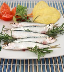 Sardine