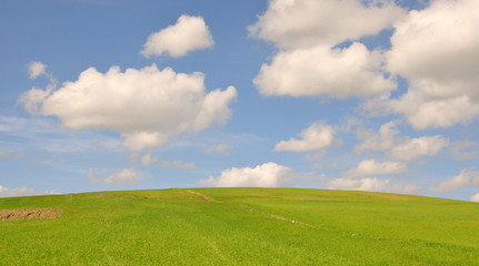 vaste étendue agricole