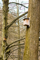 Bird House
