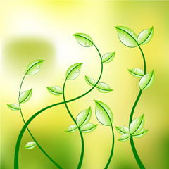 Abstract floral background