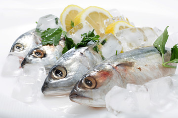 Mackerel with Lemon