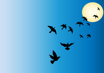 Migration d'oiseaux
