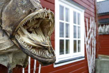 lofoten stockfish 6