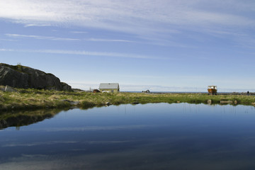 Fototapeta premium lofoten sea landscape