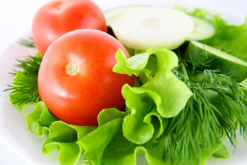 Vegetables on the white background