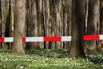 Wald Absperrband