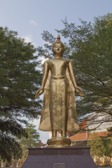 Fototapeta premium Buddha in Thailand