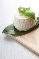 ricotta and basil on white glass background