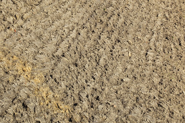 plowed soil