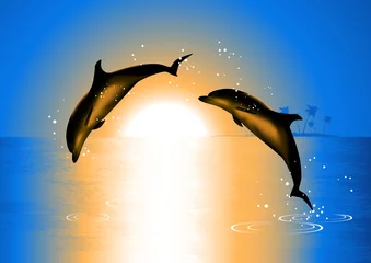Fotobehang Dolfijnen in de zonsondergang © Alegria111