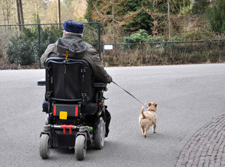 Walking the dog