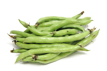 broad bean