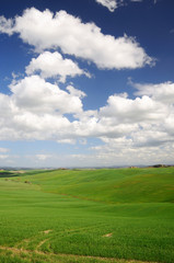 Paeaggio Siena e D'intorni - Casciano di Murlo