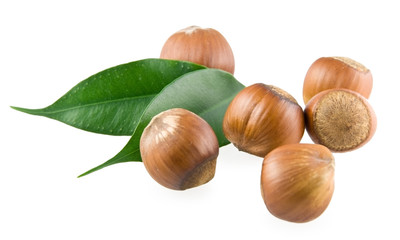 Somewhat hazelnuts and the green leaves