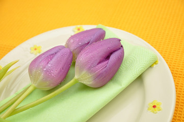 Tulips on a Plate