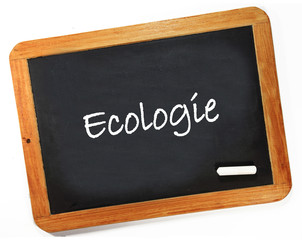 Fototapeta premium panneau écologie