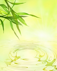 bamboo leaves over water