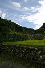 ifugao rice terraces banaue