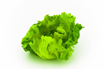 fresh lettuce isolated