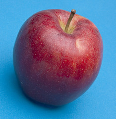 Apple on Blue
