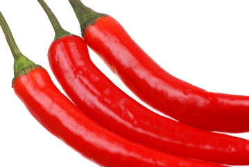Red hot chili pepper on white
