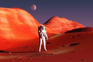 Peel and stick wall murals Rood violet on mars